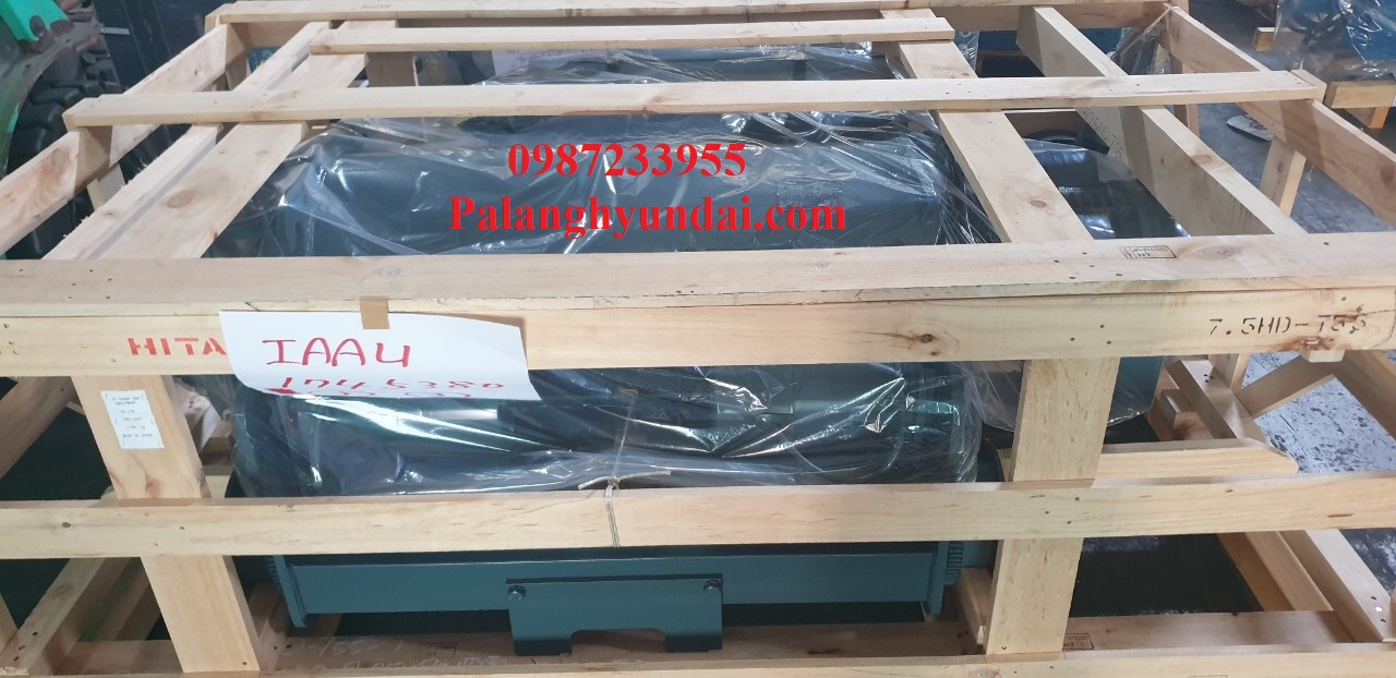 PALANG CÁP ĐIỆN HITACHI DẦM ĐÔI 15 TẤN