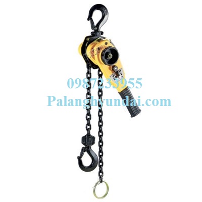 PALANG XÍCH LẮC TAY